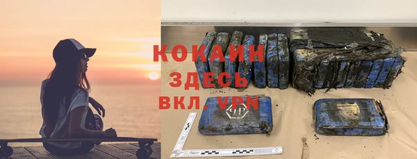 гашик Пестово