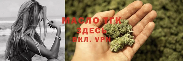 гашик Пестово
