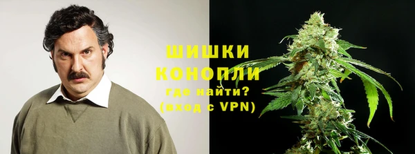 гашик Пестово