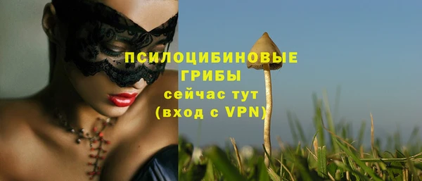 дмт Остров