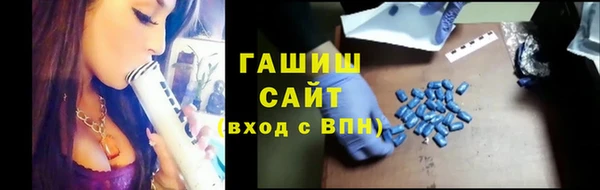 гашик Пестово