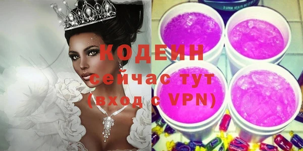 хмурый Осинники