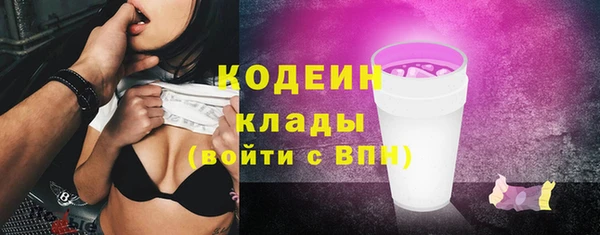 хмурый Осинники
