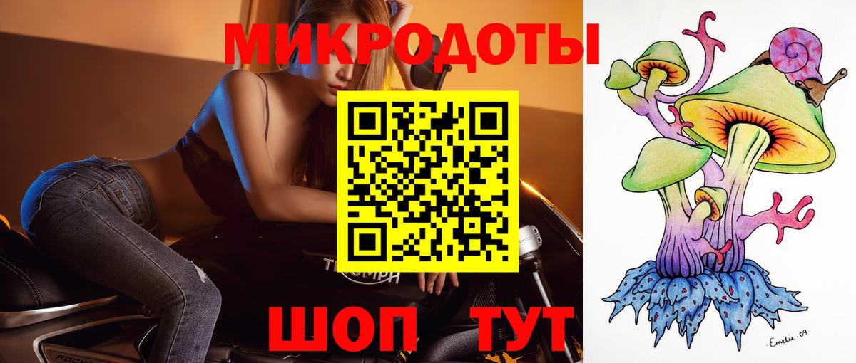 Псилоцибиновые грибы Psilocybine cubensis  Северобайкальск  Галлюциногенные грибы Psilocybine cubensis 