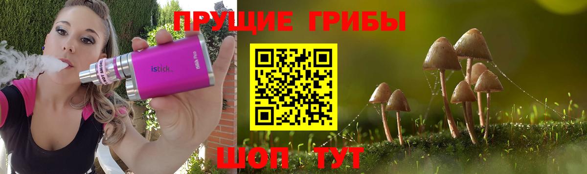 Галлюциногенные грибы Psilocybine cubensis  Галлюциногенные грибы Psilocybine cubensis  Северобайкальск  Вход с VPN 